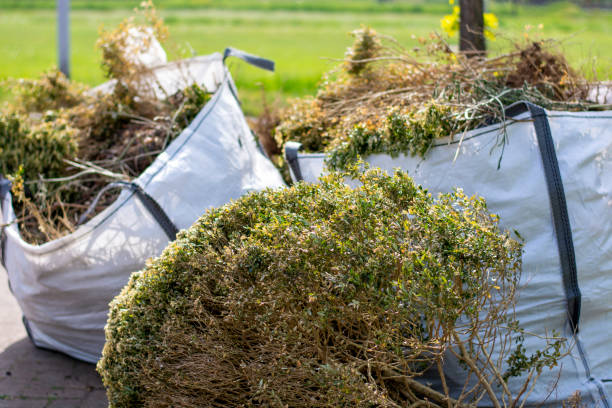 Best Estate Cleanout  in Reeds Spring, MO