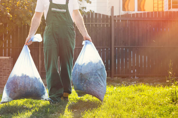 Best Basement Cleanout  in Reeds Spring, MO